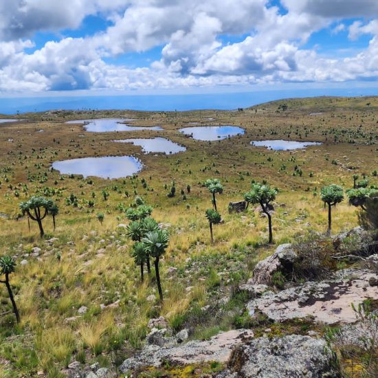 hiking trails in Aberdare with cross wild safaris