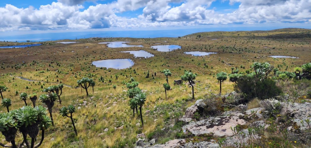 hiking trails in Aberdare with cross wild safaris