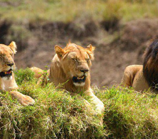 Malka Mari National Park by cross wild safaris