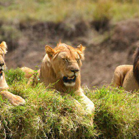 Malka Mari National Park by cross wild safaris