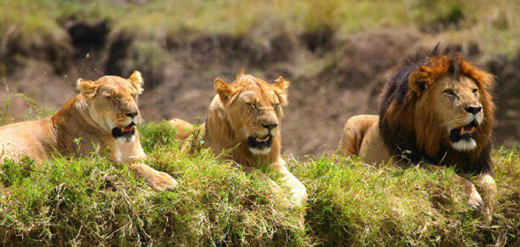 Malka Mari National Park by cross wild safaris