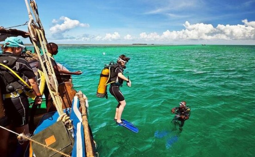 wasini island safari