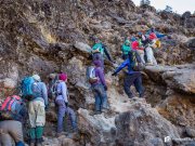 climbing mt Kilimanjaro with cross wild safaris at Tanzania Barranco wall