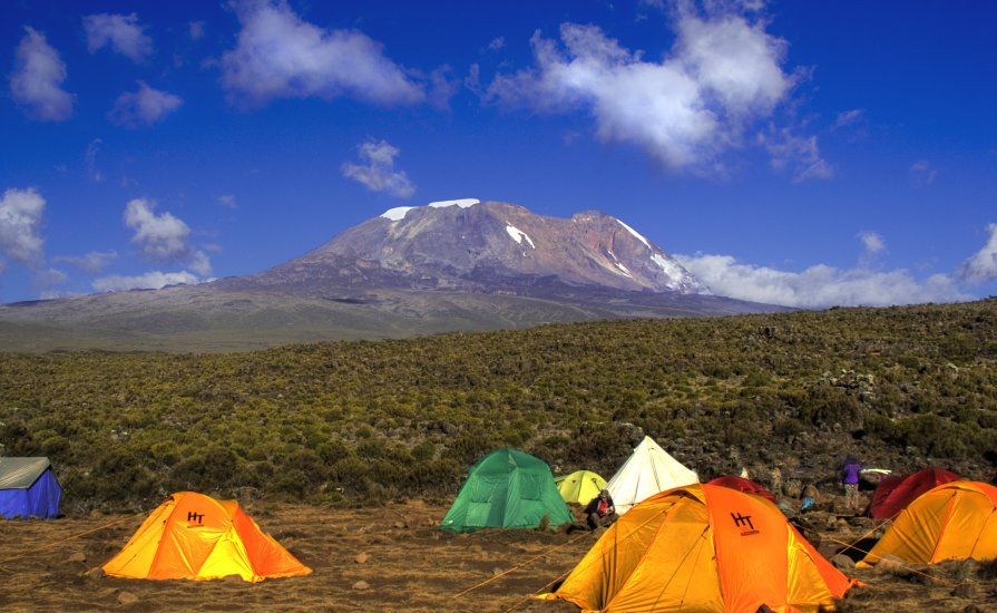 climbing mt Kilimanjaro with cross wild safaris at Tanzania shira camp