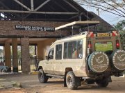 FLYING SAFARIS WITH CROSS WILD SAFARIS AT MASAI MARA NATIONAL RESERVE IN MARA SERENA