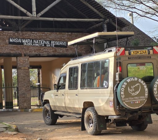 FLYING SAFARIS WITH CROSS WILD SAFARIS AT MASAI MARA NATIONAL RESERVE IN MARA SERENA