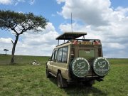 Masai Mara Kenya safari with cross wild safaris in Kenya