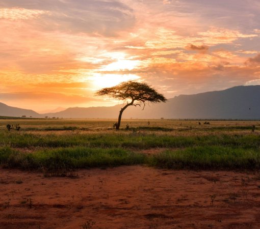 Chyulu hills seen from tsavo national park