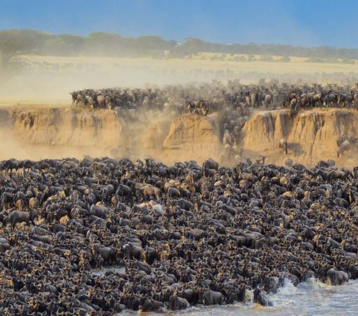 packing list for the great migration safari with cross wild safaris
