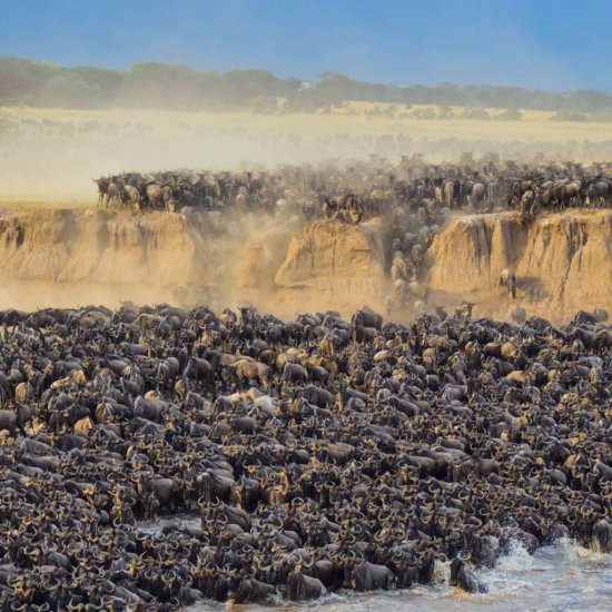 packing list for the great migration safari with cross wild safaris