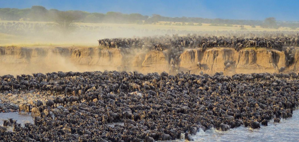 packing list for the great migration safari with cross wild safaris