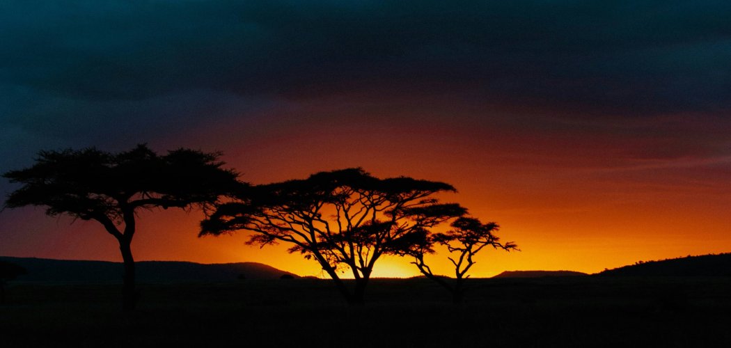 A serene and safe Kenya safari scene in the Maasai Mara at sunset - is kenya safari safe
