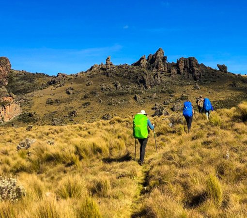 Trekking mount Elgon With cross wild safaris