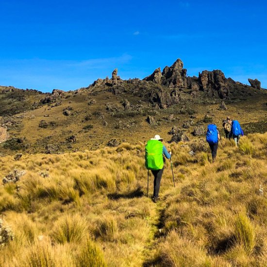 Trekking mount Elgon With cross wild safaris