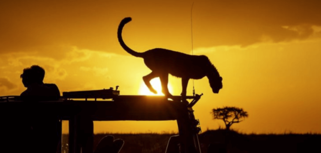 night safaris near mount Kenya with cross wild safaris