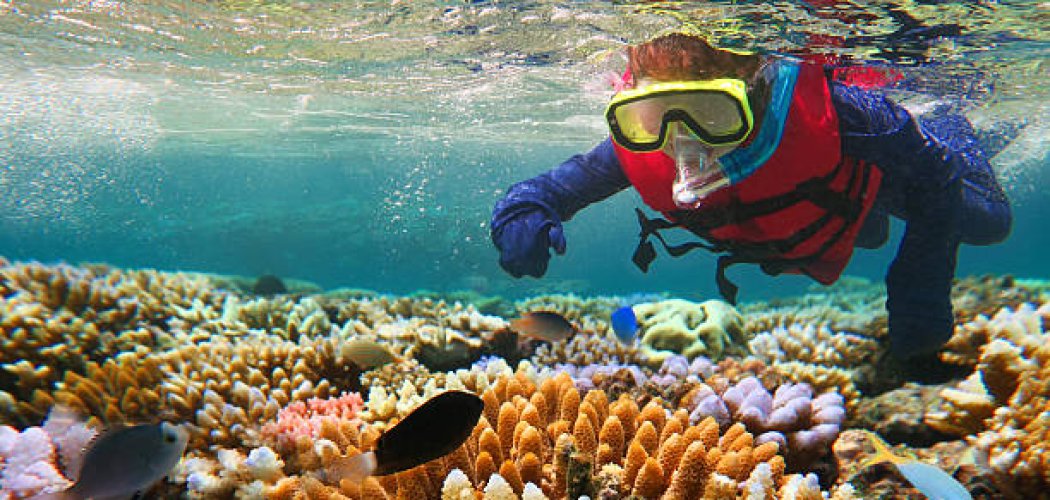 Snorkeler swimming near coral reefs in Watamu Marine National Park, Kenya