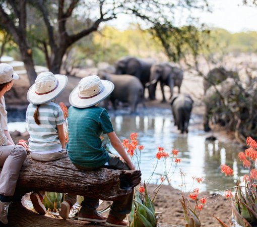 Kenya-family-safari-with-cross-wild-