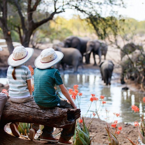 Kenya-family-safari-with-cross-wild-