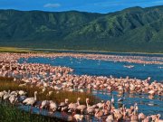 lake-elmenteita-southern-rift-valley