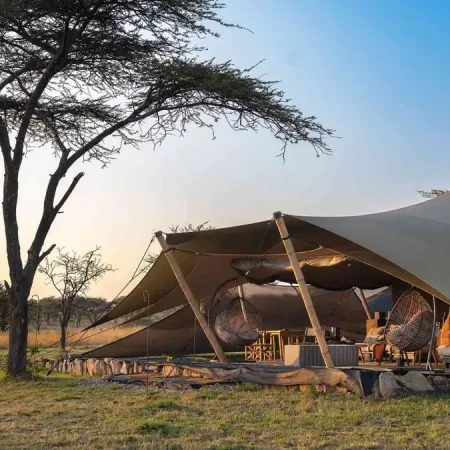 hotels, lodge or camps with cross wild safaris