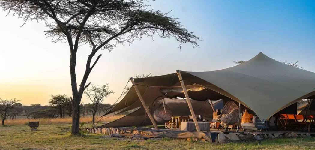hotels, lodge or camps with cross wild safaris