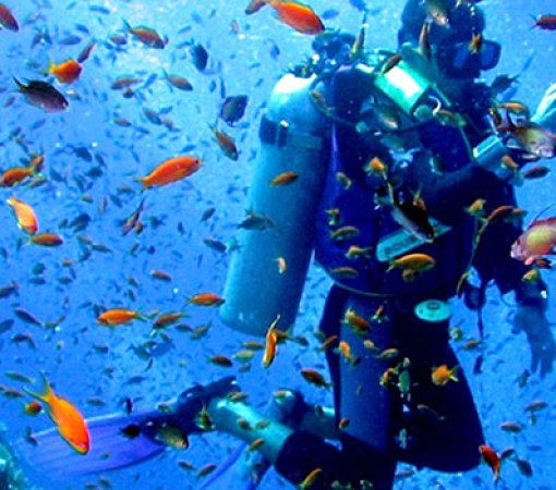 discover fun family activities to do at Malindi Marine national park with cross wild safaris