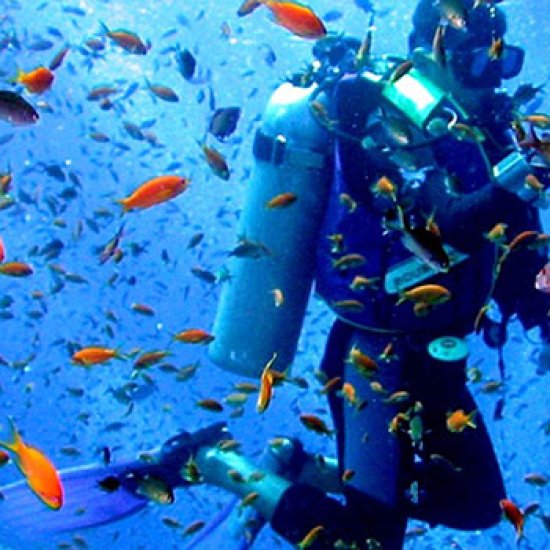 discover fun family activities to do at Malindi Marine national park with cross wild safaris