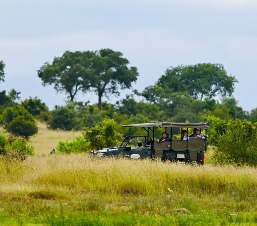 Happy family on a best family safari in Kenya game drive with Cross Wild Safaris