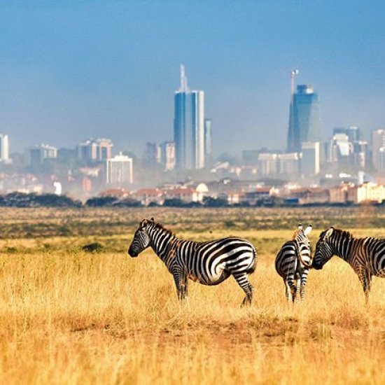 Nairobi National park Family safari with cross wild safaris