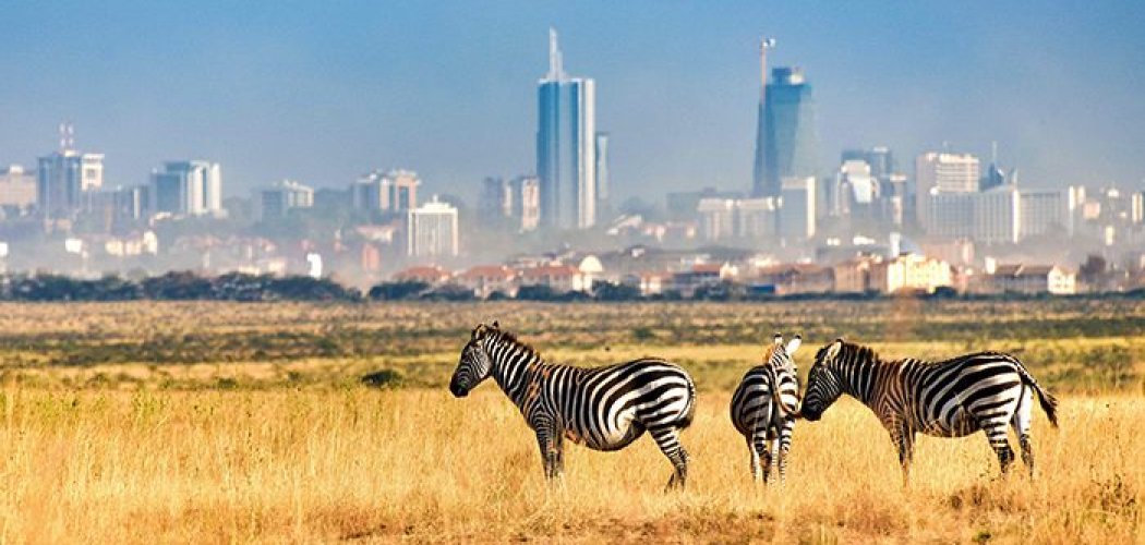 Nairobi National park Family safari with cross wild safaris