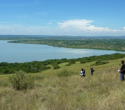 Ndere island national park with cross wild safaris