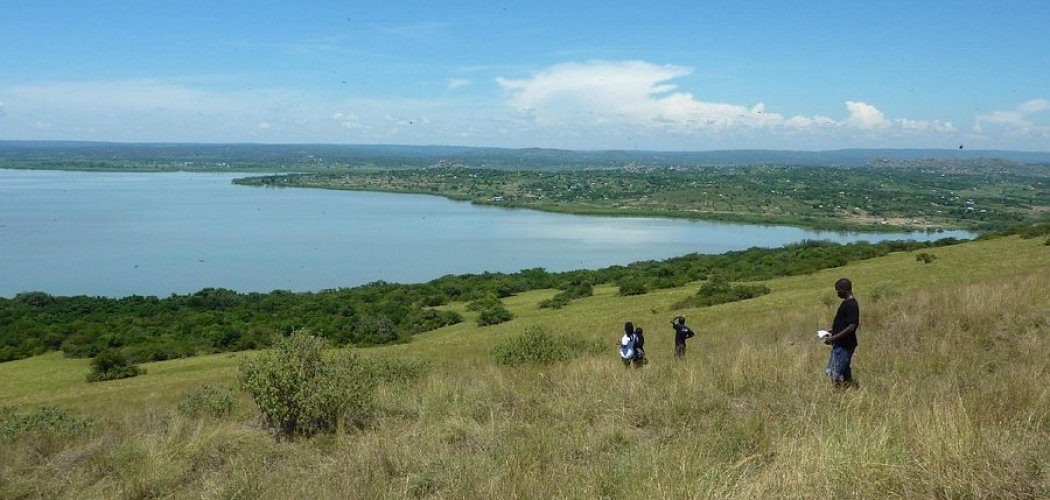 Ndere island national park with cross wild safaris
