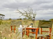 bush break fast at bush safari in Masai Mara national reserve in Kenya with cross wild safaris