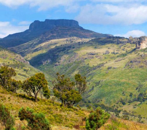 Mount Elgon National park with cross wild safaris