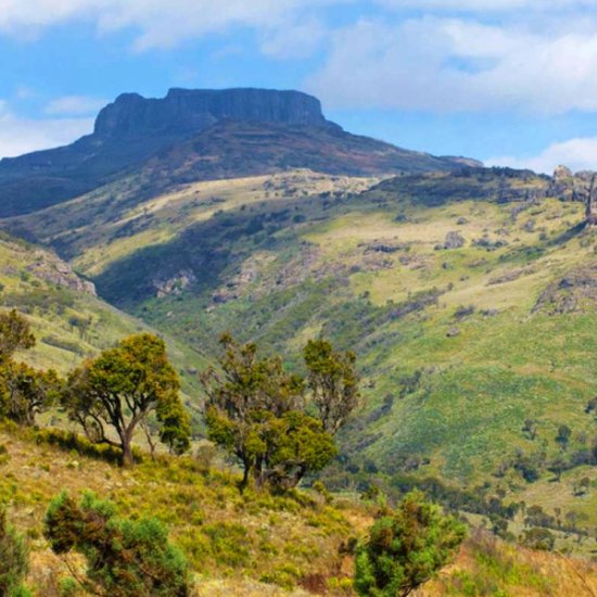 Mount Elgon National park with cross wild safaris