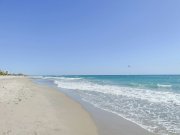 Bush and beach safari with cross wild at Baobab Beach Resort in Diani beach