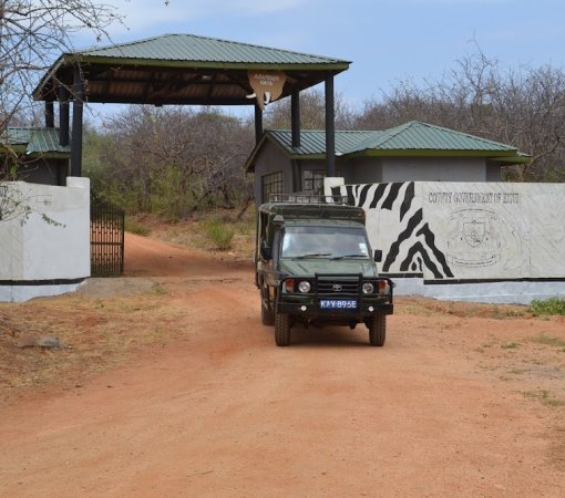 Mwingi game reserve with cross wild safaris