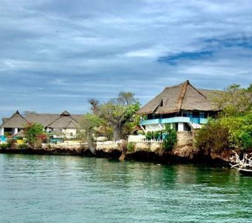 visit wasini island with cross wild safaris