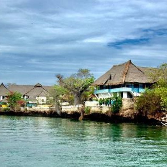 visit wasini island with cross wild safaris